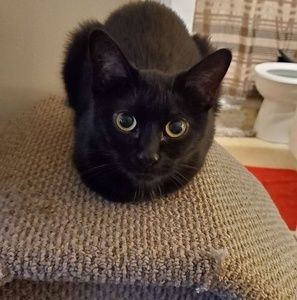 Meet your Posher, Gary